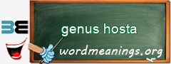 WordMeaning blackboard for genus hosta